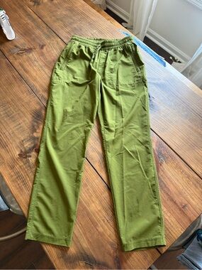 North Face Never Stop Wearing Pants- women’s small